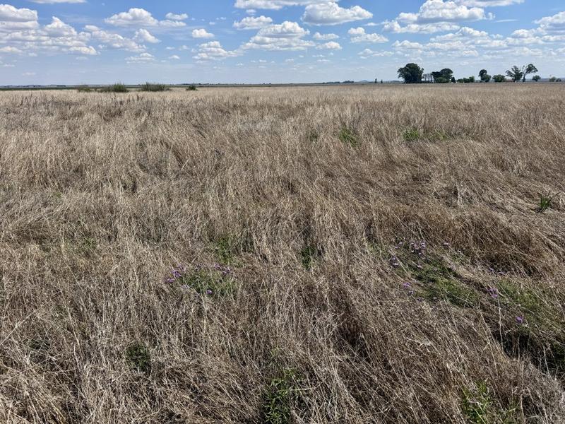 0 Bedroom Property for Sale in Koppies Free State